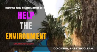 Sustainable Sips: How Reusable Water Bottles Protect Our Planet