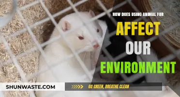 Fur's Environmental Impact: Uncovering the Hidden Costs of Animal Fur
