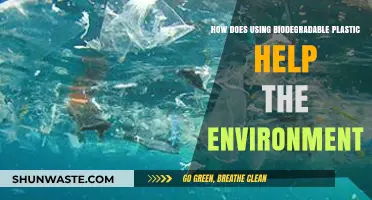 Biodegradable Plastics: Eco-Friendly Solutions for a Sustainable Future