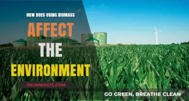 Biomass Energy: Environmental Impacts, Sustainability, and Green Alternatives Explored