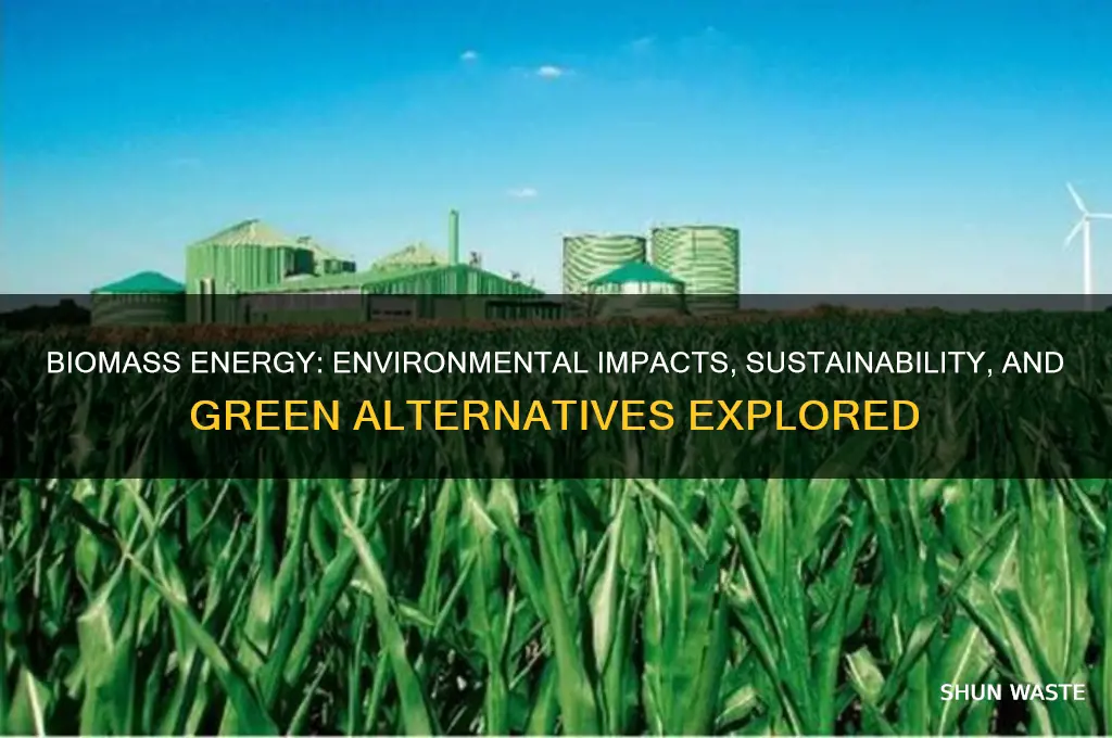 how does using biomass affect the environment
