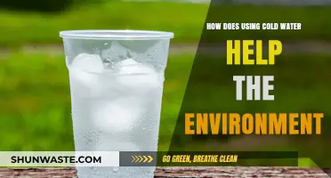 Eco-Friendly Showers: Cold Water's Surprising Environmental Benefits Explained