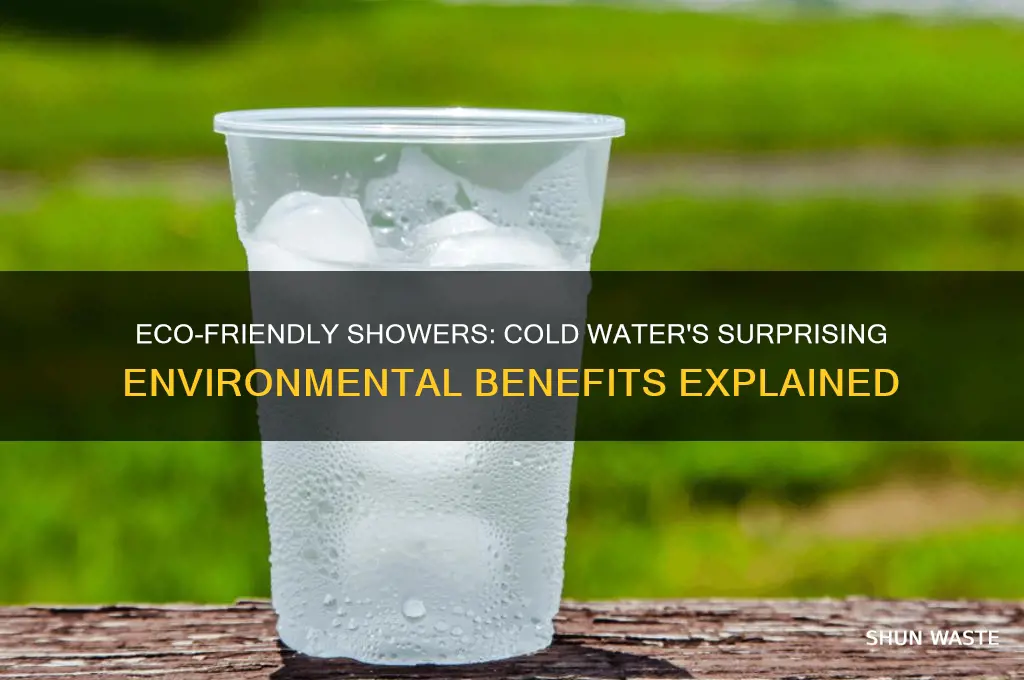 how does using cold water help the environment