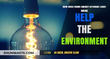 Eco-Friendly Lighting: How Energy-Efficient Bulbs Benefit Our Planet