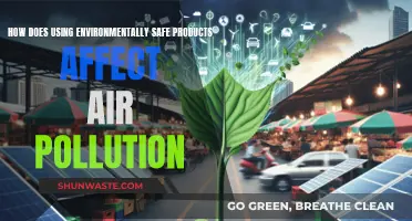 Green Products, Clean Air: The Pollution Connection