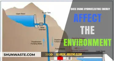 Hydroelectric Energy's Environmental Impact: Benefits, Challenges, and Sustainability