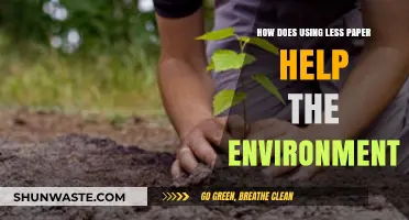 Save Trees, Reduce Waste: How Less Paper Use Benefits Our Planet
