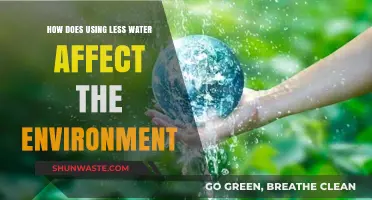 Conserving Water: How Reducing Usage Benefits Our Environment and Ecosystems