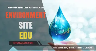 Conserving Water: Environmental Benefits and Sustainable Practices for a Greener Future
