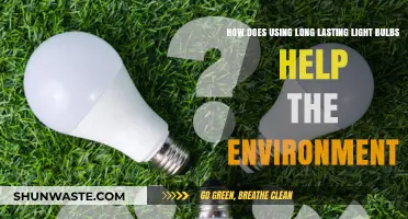 Eco-Friendly Lighting: Long-Lasting Bulbs Reduce Waste and Energy Use
