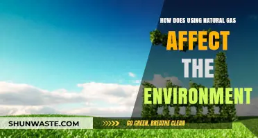Natural Gas Environmental Impact: Benefits, Drawbacks, and Sustainable Alternatives