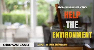 Eco-Friendly Sips: Paper Straws' Positive Impact on Our Planet