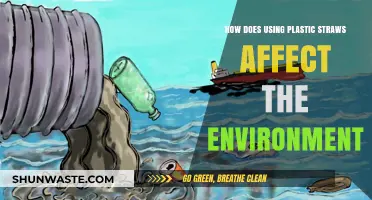 Plastic Straws' Environmental Impact: Harmful Effects and Sustainable Alternatives