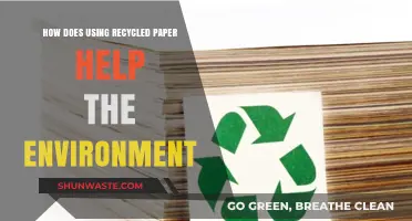 Eco-Friendly Choices: How Recycled Paper Benefits Our Planet