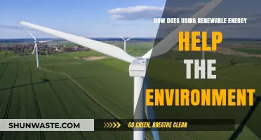 Renewable Energy's Environmental Impact: Benefits and Positive Changes