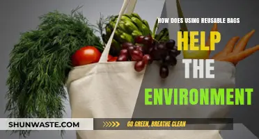 Eco-Friendly Shopping: Reusable Bags' Impact on Reducing Environmental Harm