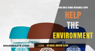 Sustainable Sips: How Reusable Cups Protect Our Planet and Reduce Waste