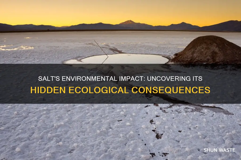 how does using salt affect the environment