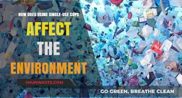 Single-Use Cups: Environmental Impact and Sustainable Alternatives Explored
