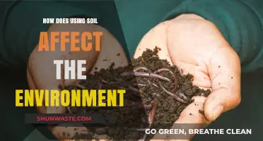 Soil Usage Impacts: Environmental Consequences and Sustainable Practices Explored