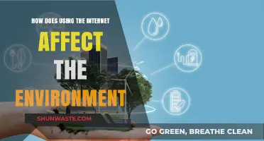 The Environmental Impact of Internet Usage: A Comprehensive Analysis