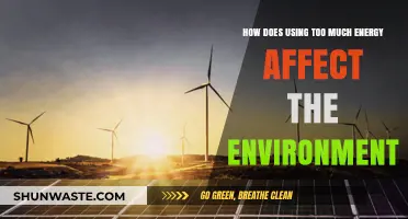 Excess Energy Use: Environmental Impacts and Sustainable Solutions