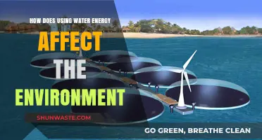 Water Energy's Environmental Impact: Benefits, Challenges, and Sustainability