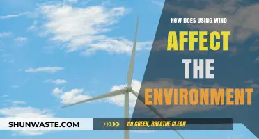 Wind Power's Environmental Impact: Benefits, Challenges, and Sustainability Insights