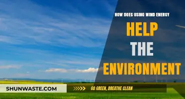 Harnessing Wind Power: Environmental Benefits and Sustainable Energy Solutions