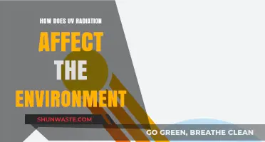 UV Radiation's Impact: Environmental Effects and Ecosystem Consequences Explained