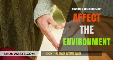 Valentine's Day's Eco-Impact: Unwrapping Environmental Costs of Love Celebrations