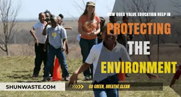Value Education: Empowering Environmental Stewardship for a Sustainable Future