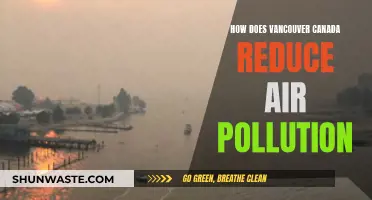 Vancouver's Fight Against Air Pollution