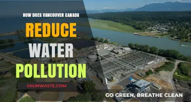 Vancouver's Green Initiatives: A Guide to Water Pollution Reduction