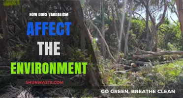 Vandalism's Environmental Impact: Pollution, Destruction, and Ecosystem Disruption Explained