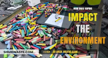 Vaping's Environmental Impact: Uncovering the Hidden Ecological Consequences