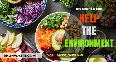 Vegan Diet: A Sustainable Choice to Protect Our Planet's Future