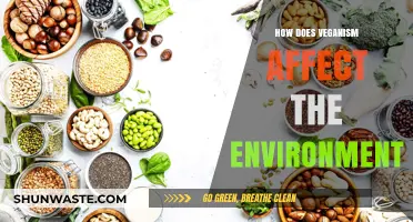 Veganism's Environmental Impact: A Sustainable Diet for a Greener Planet