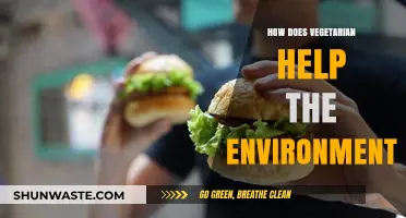 Vegetarian Diets: A Sustainable Choice for a Greener Planet