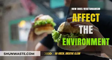 Vegetarianism's Environmental Impact: Sustainable Diets for a Greener Planet