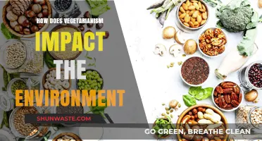 Vegetarianism's Environmental Impact: A Sustainable Diet for a Greener Planet