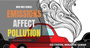 Vehicle Emissions: Understanding Their Impact on Pollution