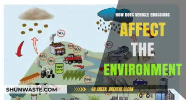 Vehicle Emissions: Environmental Impact and Sustainable Solutions Explained