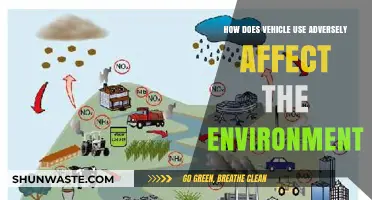 Vehicle Emissions: How Driving Harms Air, Water, and Ecosystems