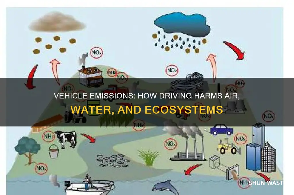 how does vehicle use adversely affect the environment