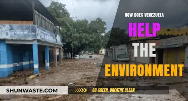 Venezuela's Green Initiatives: Environmental Conservation Efforts and Impact
