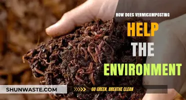 Vermicomposting: A Sustainable Solution for Environmental Conservation and Soil Health