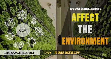 Vertical Farming's Environmental Impact: Sustainable Solutions for a Greener Future