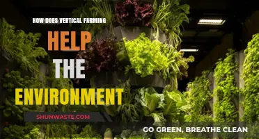 Vertical Farming: Sustainable Solutions for Greener, Healthier Ecosystems