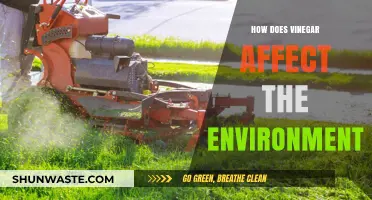 Vinegar's Environmental Impact: Sustainable Uses and Ecological Considerations Explored